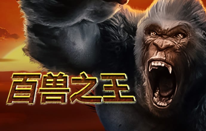 萨内蒂：确认齐沃会留任，国米计划是与他长期合作，他表现很出色